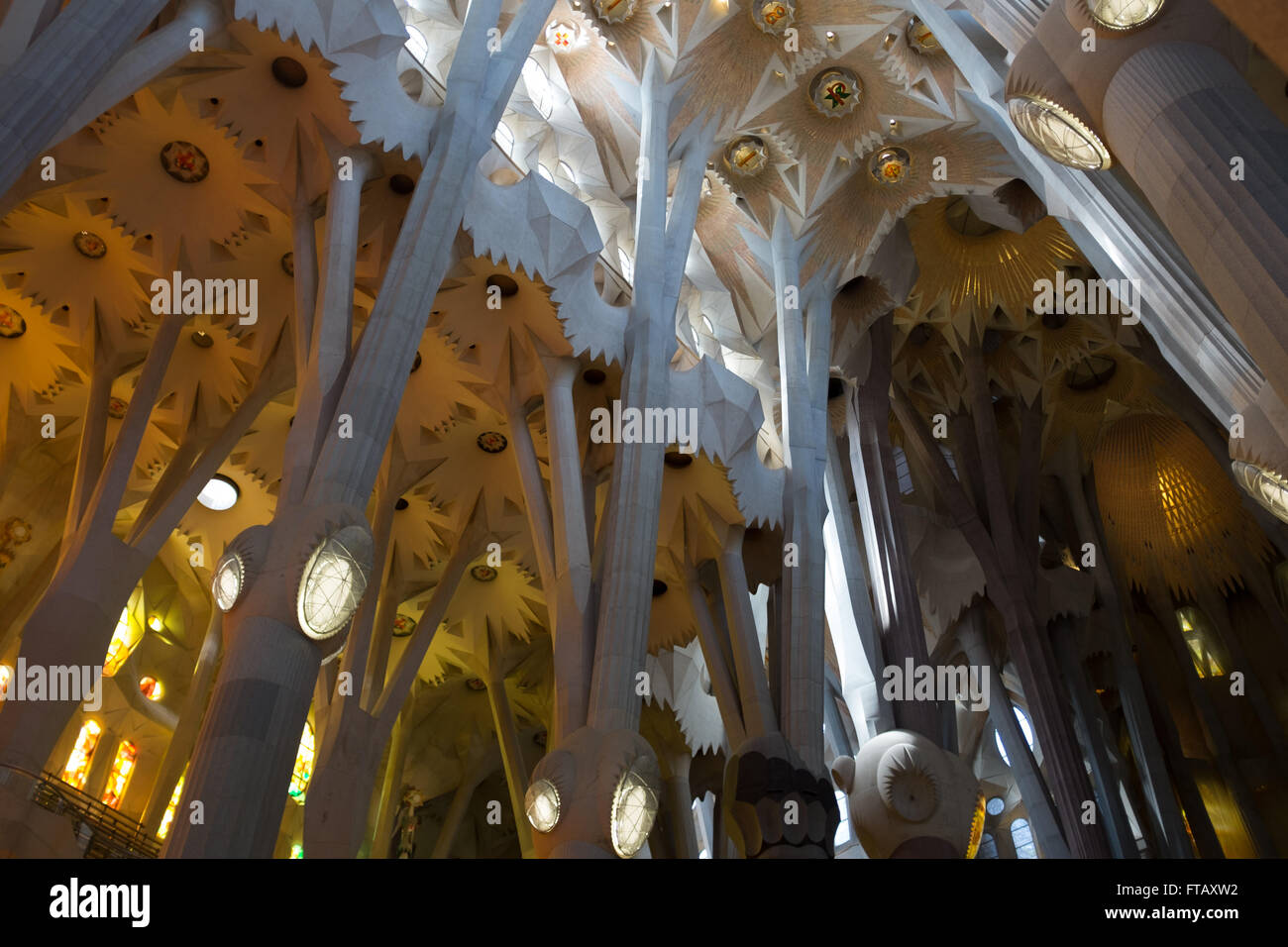 Interior de la catedral Sagradia Familia diseñado Gaudí en Barcelona, España, Europa Foto de stock