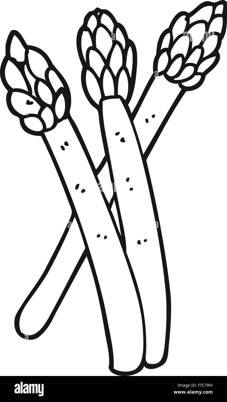 Dibuja a mano alzada en blanco y negro de espárragos de dibujos animados Imagen Vector de stock - Alamy Dibuja a mano alzada en blanco y negro de espárragos de dibujos animados Imagen Vector de stock - Alamy