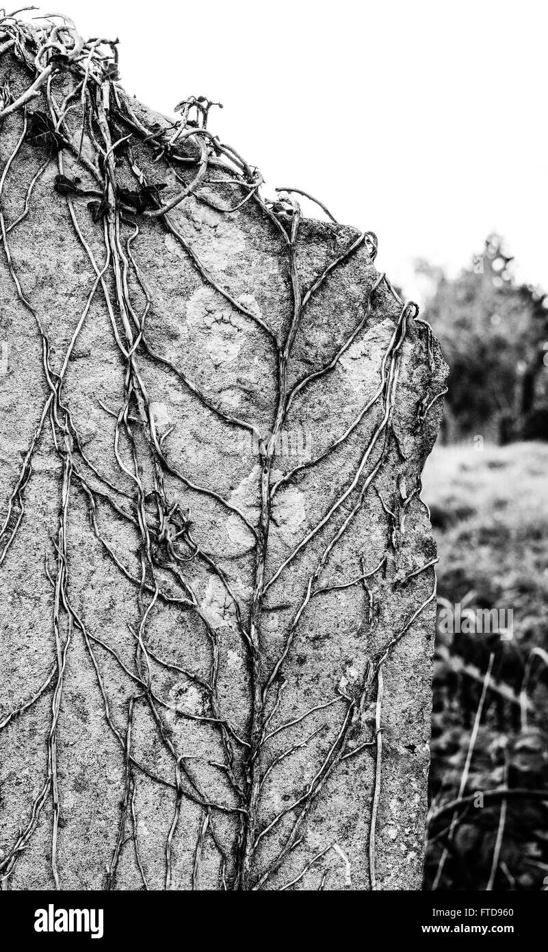 Tumbas y tumbas vistas en un famoso cementerio inglés Fotografía de