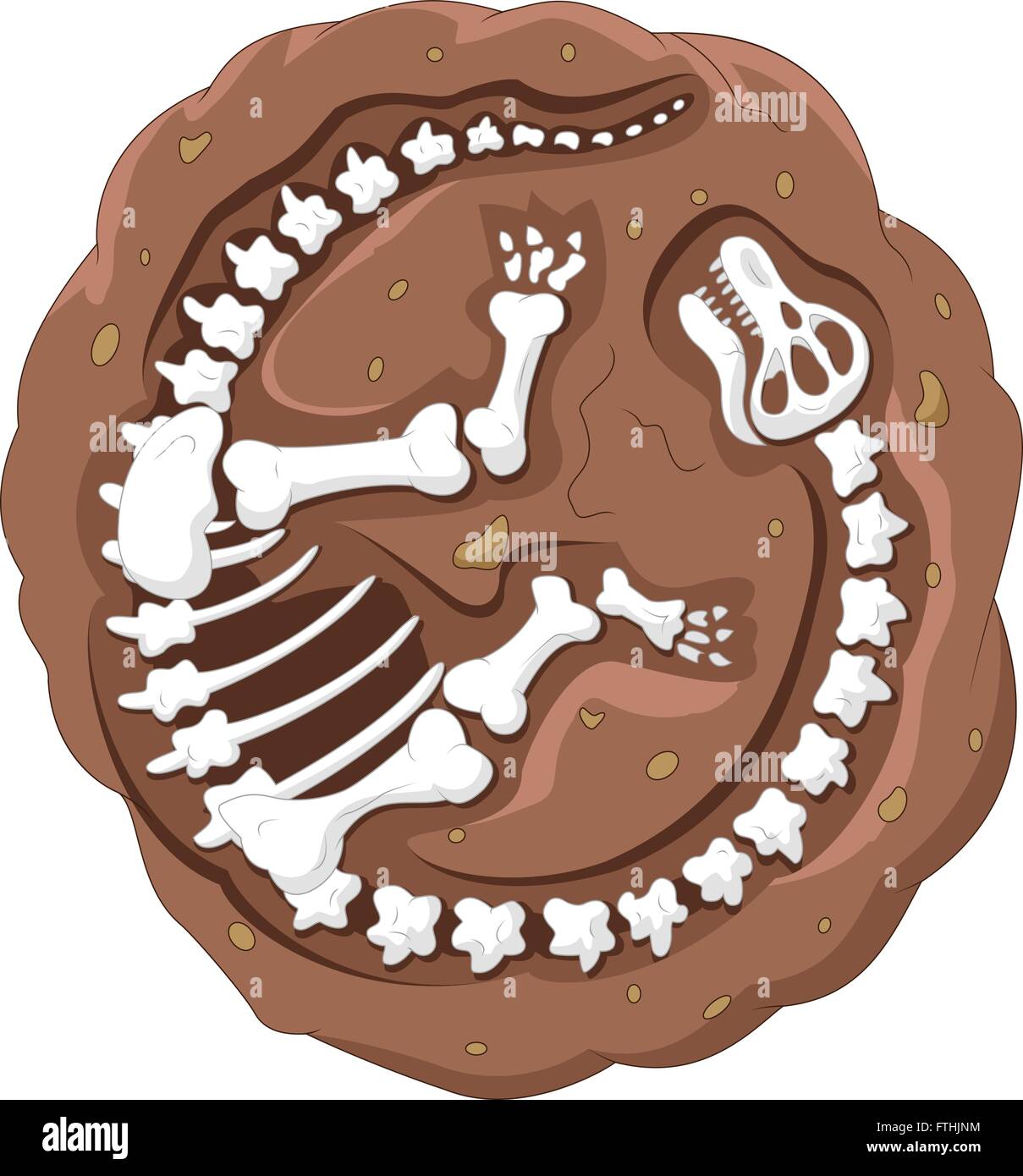 Fósiles de dinosaurio de dibujos animados Imagen Vector de stock - Alamy