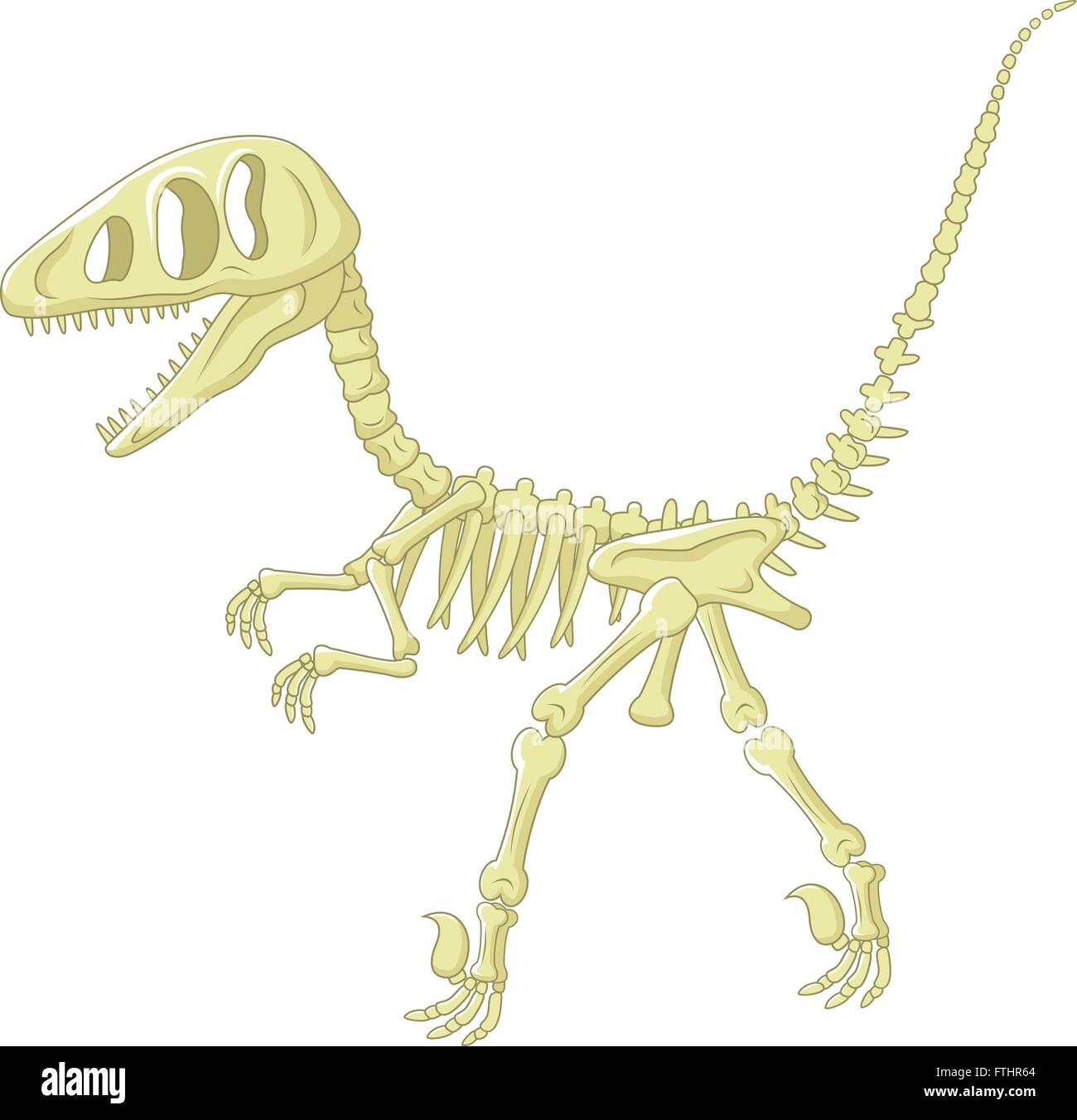 Esqueleto de dinosaurio Imagen Vector de stock - Alamy
