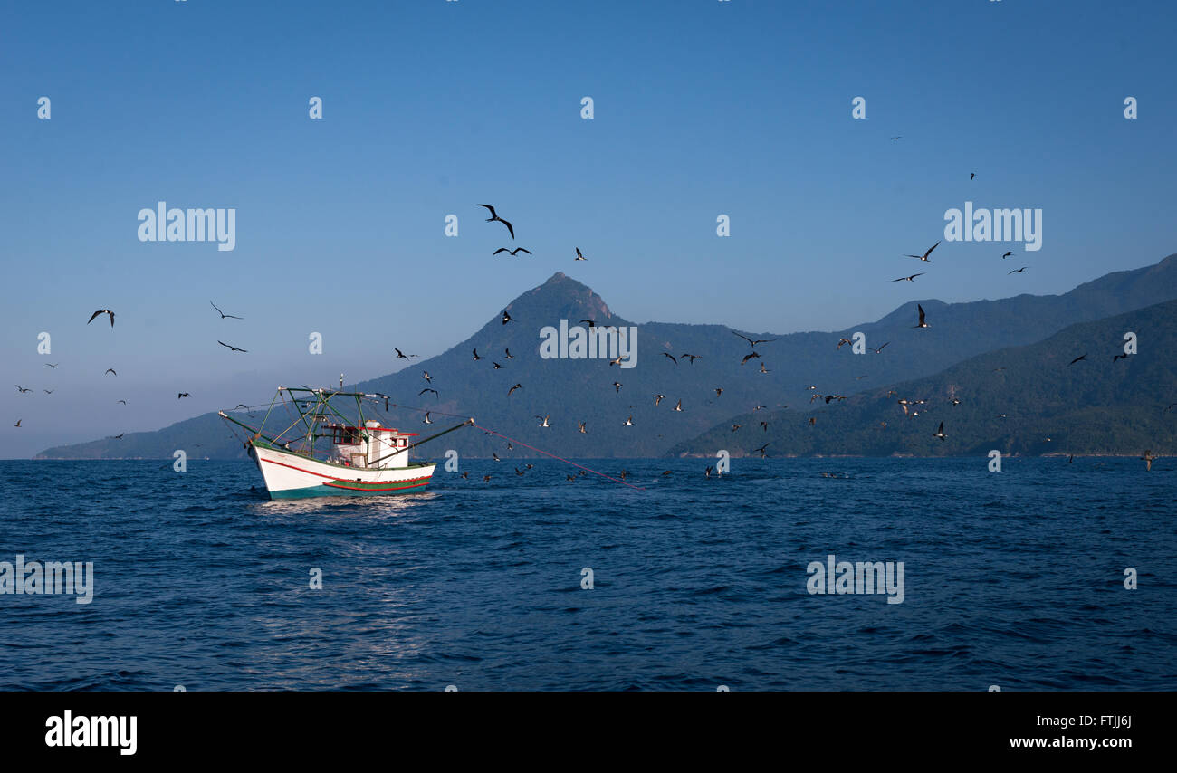 Un barco de pesca de arrastre de camarones, SE Ilhabela netos fuera de Brasil. Aves como piqueros y frigatebirds están siguiendo para obtener la chatarra Foto de stock