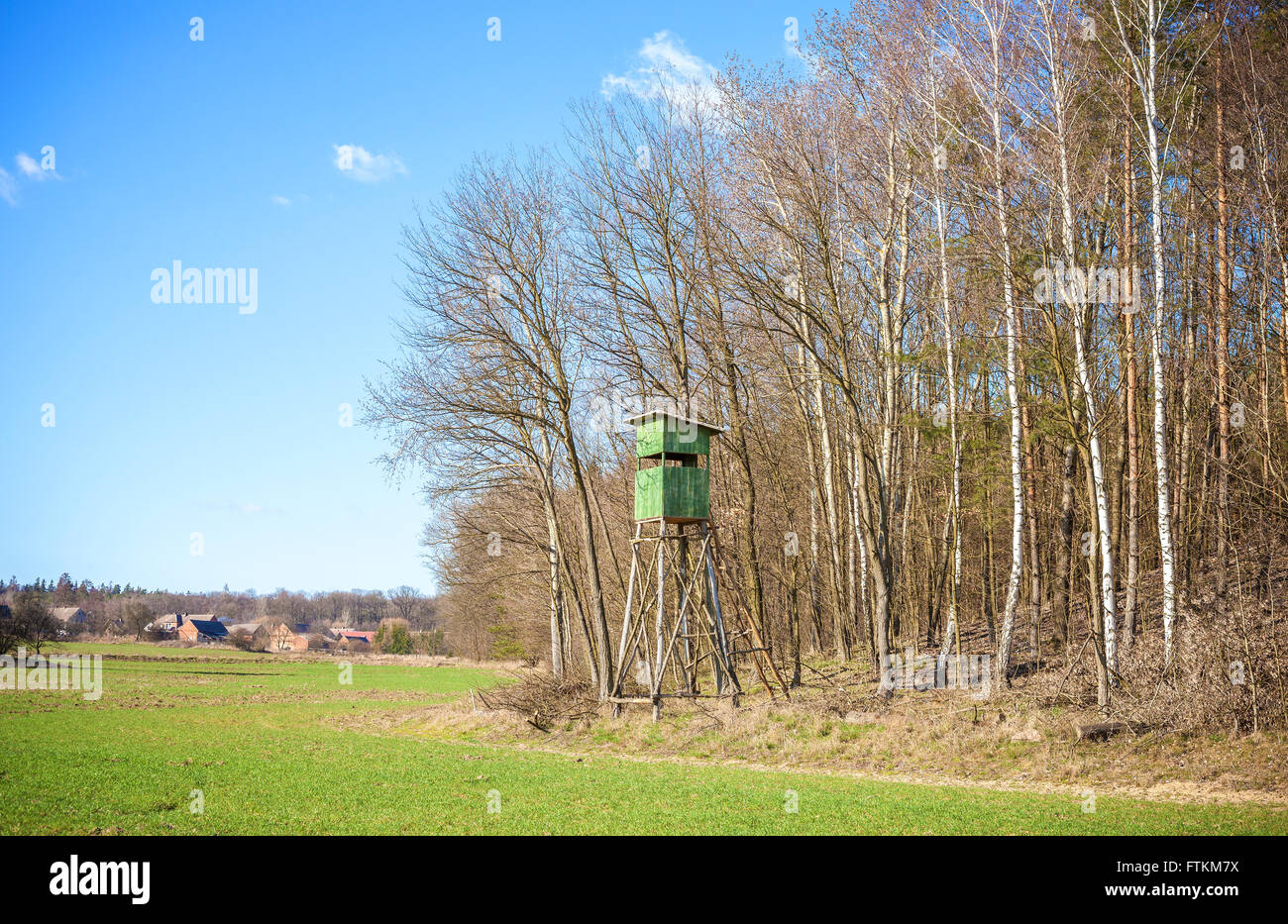 Desde el púlpito de la caza en el borde de un bosque en primavera, Polonia. Foto de stock