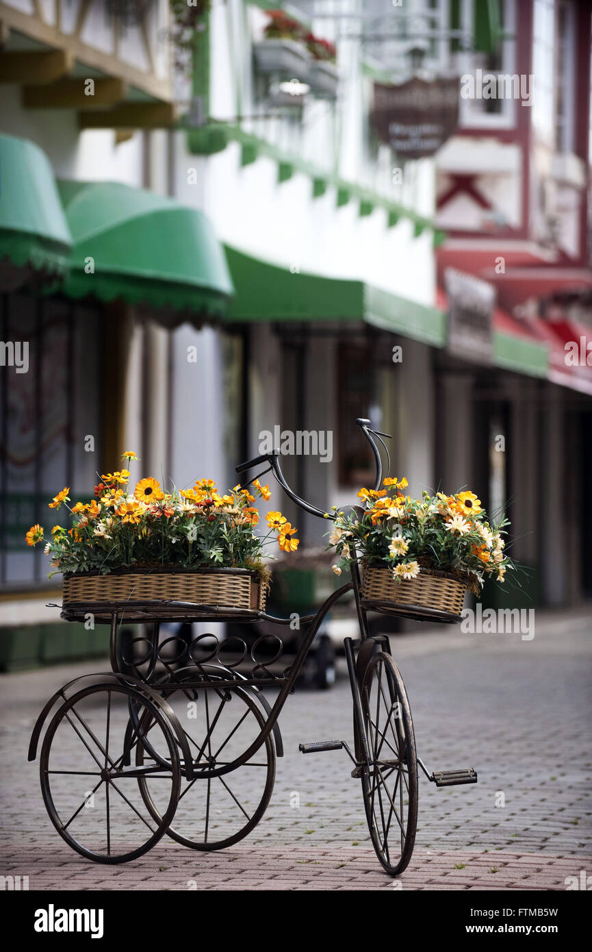 Triciclo con flores en la calle de la ciudad de Blumenau, Santa Catarina  Fotografía de stock - Alamy