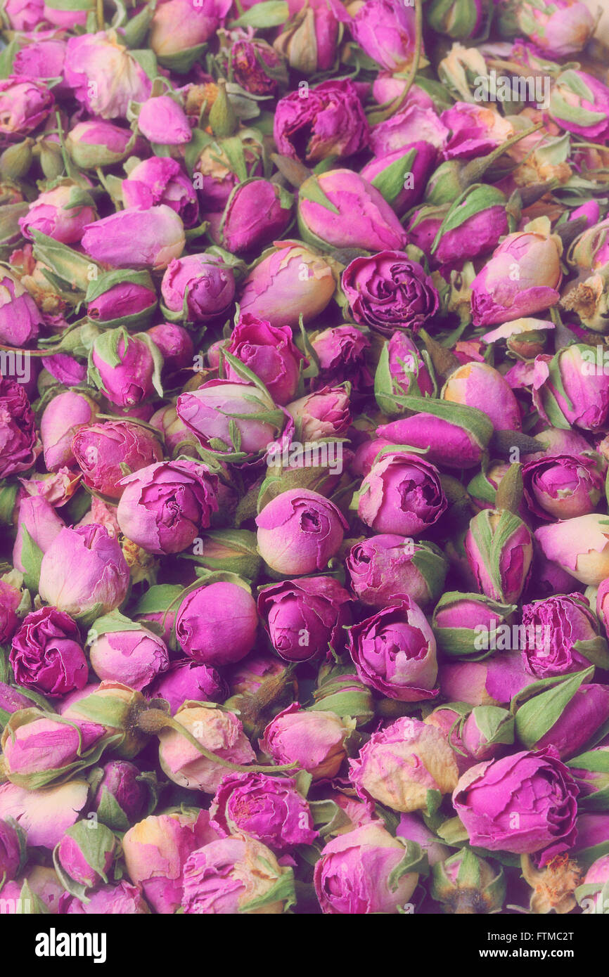 Capullos de rosas Vintage textura de fondo Foto de stock