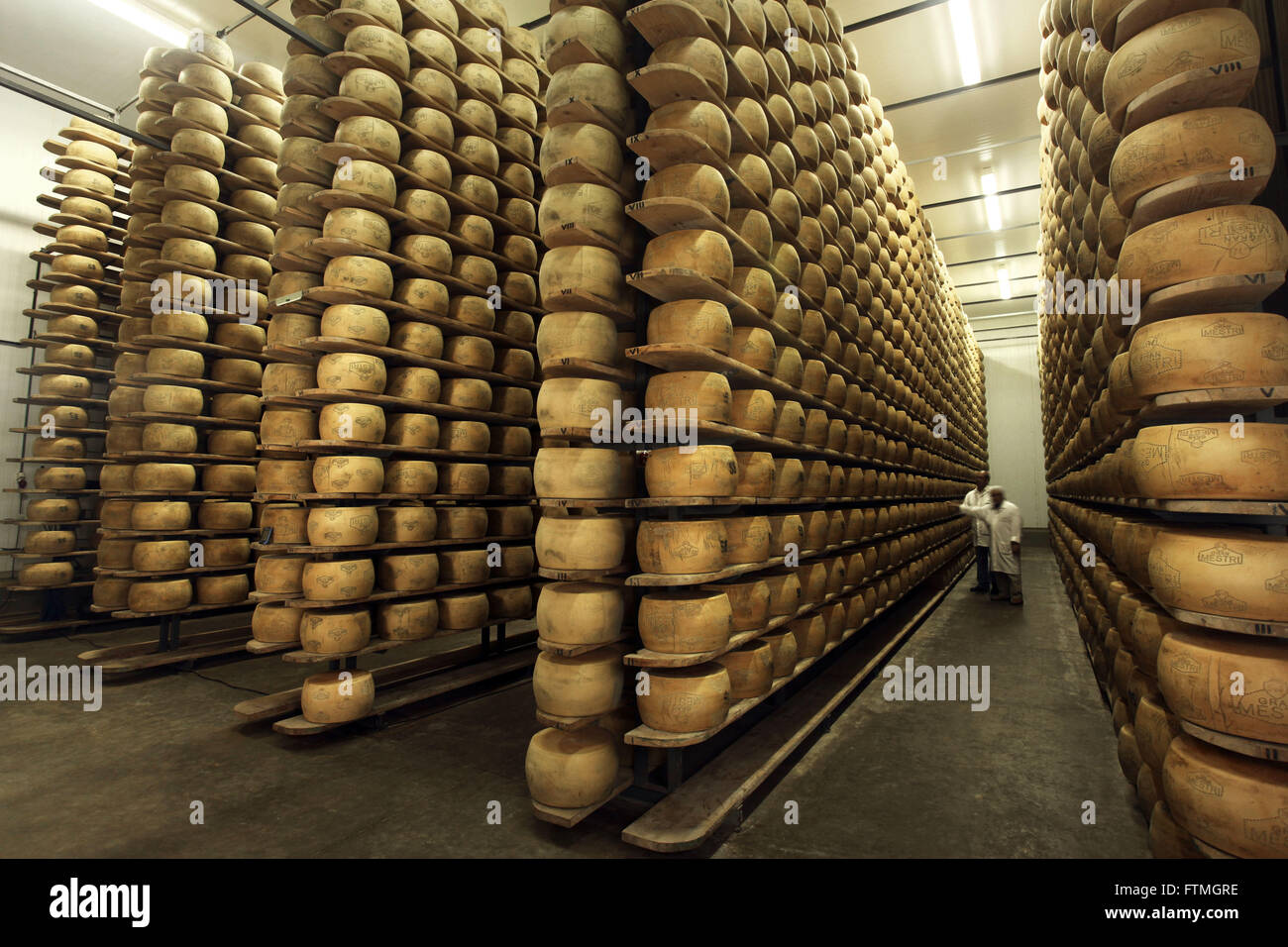 La cámara de maduración de queso tipo Grana en la industria lechera  Fotografía de stock - Alamy