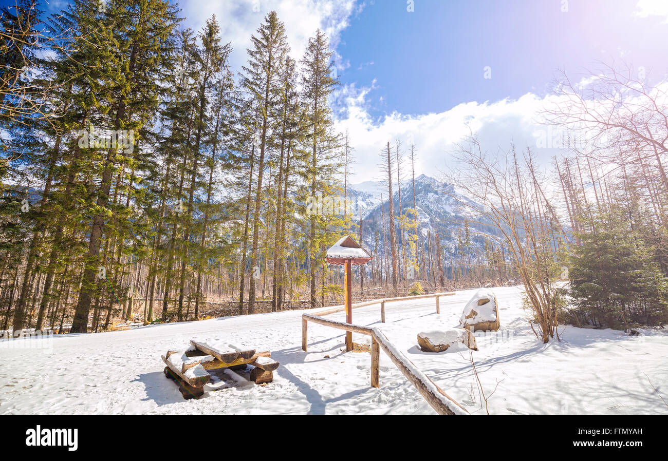 Paisaje de montaña con área de picnic contra el sol, Efecto Destello de lente, las montañas de Tatra en Polonia. Foto de stock