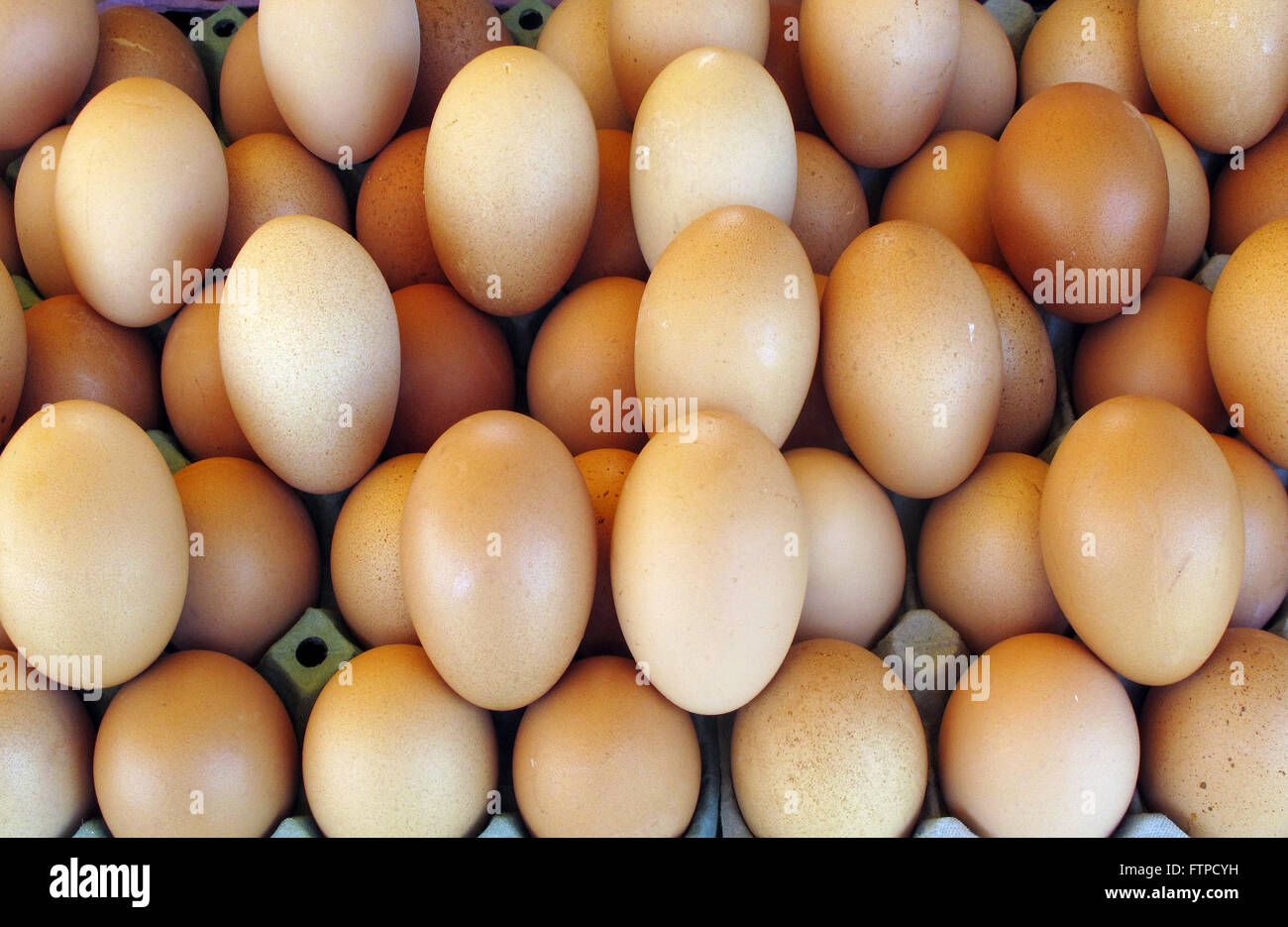 Huevos de gallina vendidos en el Pacaembu justo en la Plaza Charles Miller Foto de stock