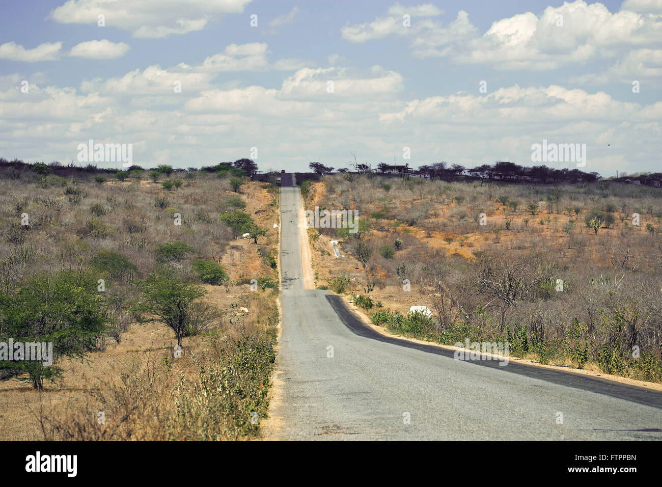 PB-148 Highway cruzando el paisaje de sabana en Paraíba hinterland -el Cariri Foto de stock