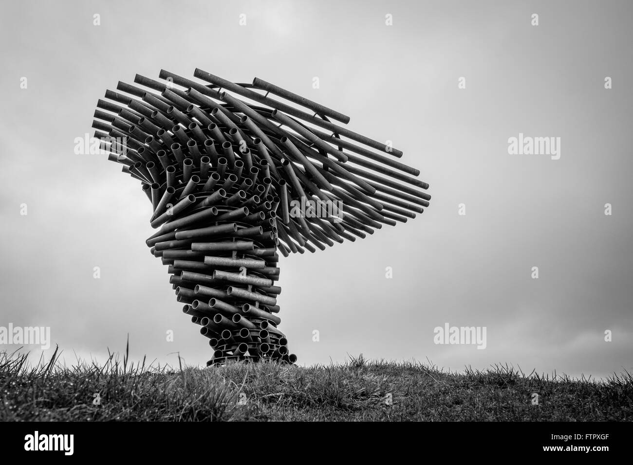 Canto árbol Sonando La Escultura Burnley Reino Unido Foto - 