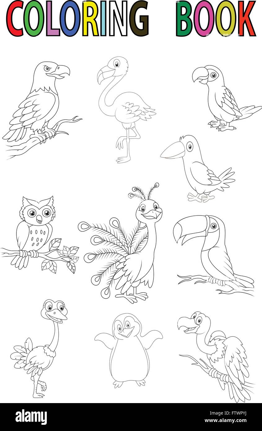 Libro para colorear de aves de dibujos animados Imagen Vector de stock -  Alamy
