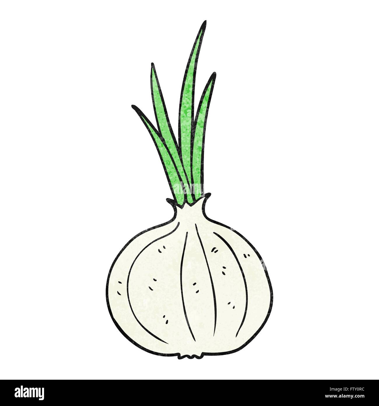 Freehand texturizado cebolla dibujos animados Imagen Vector de stock - Alamy Freehand texturizado cebolla dibujos animados Imagen Vector de stock - Alamy
