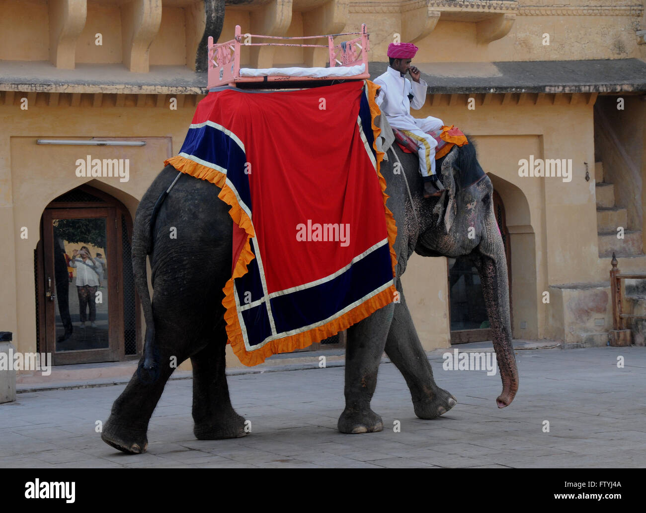 Un elefante utilizado para transportar a los turistas desde el aparcamiento en el Fuerte Amber en Jaipur, India. Algunas empresas turísticas no utilice estos. Foto de stock