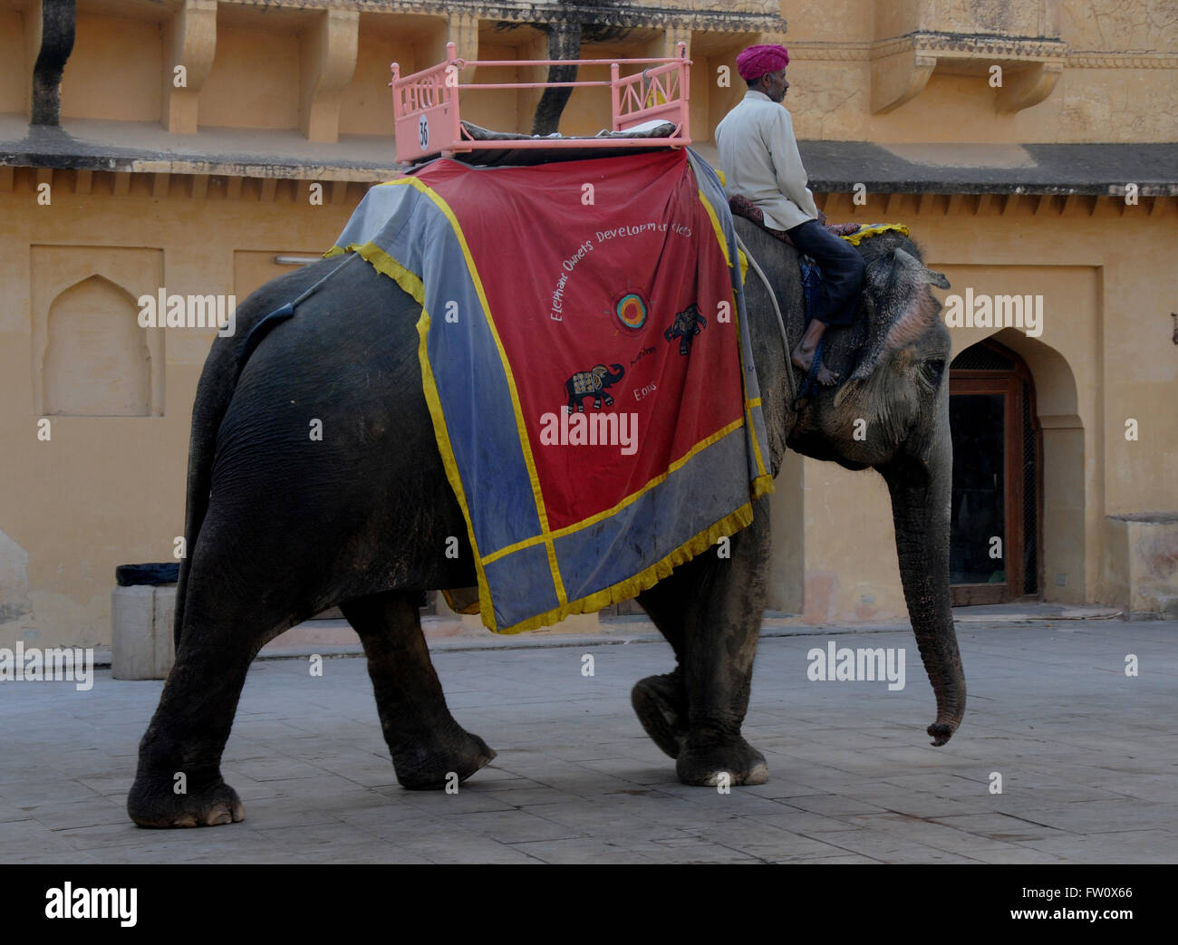 Un elefante utilizado para transportar a los turistas desde el aparcamiento en el Fuerte Amber en Jaipur, India. Algunas empresas turísticas no utilice estos. Foto de stock