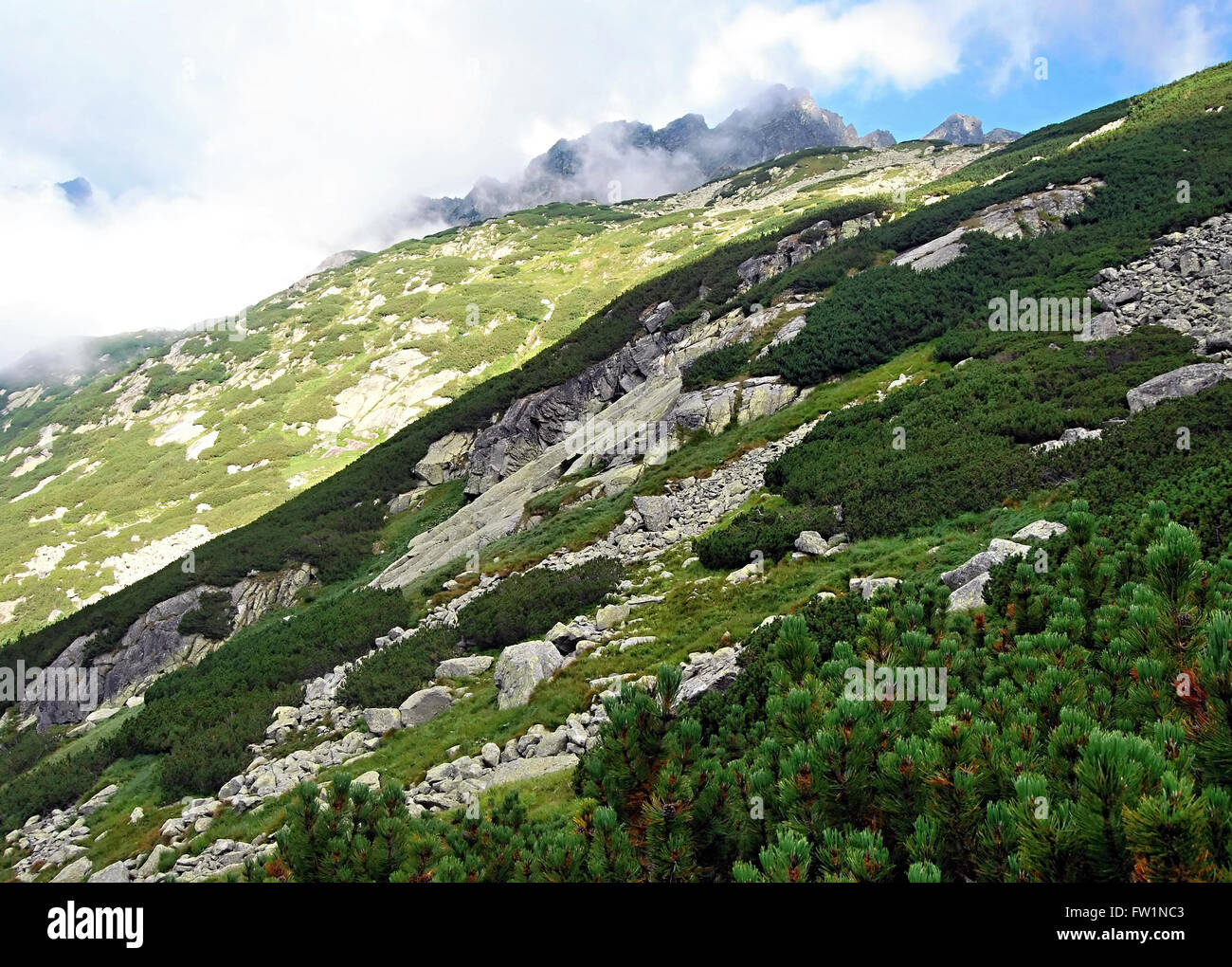 Zlomiskova dolina valle con picos en el fondo en altas montañas Tatras Foto de stock