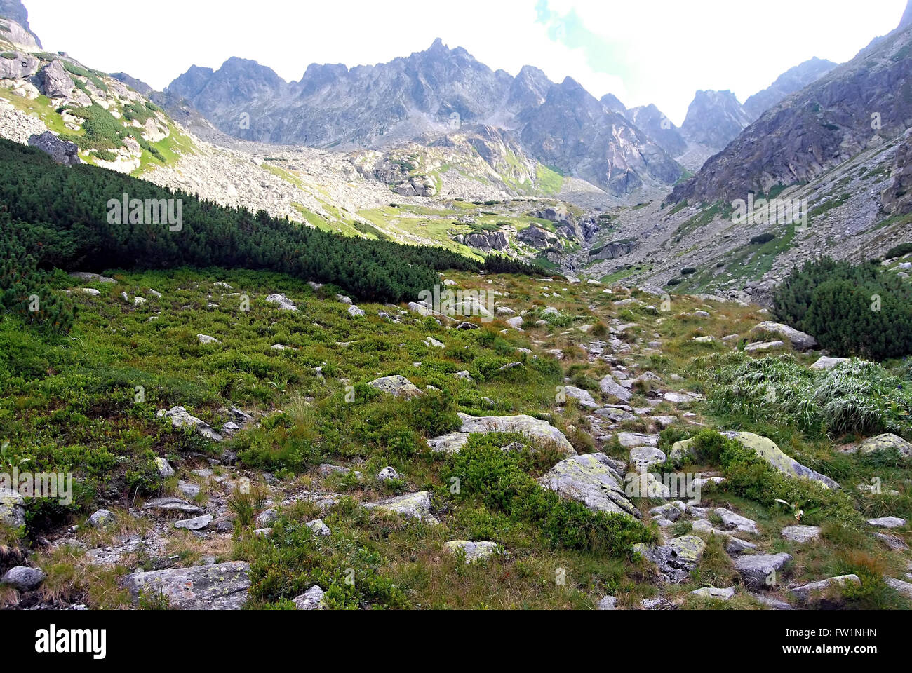 Zlomiskova dolina valley con picos alrededor en altas montañas Tatras en Eslovaquia Foto de stock