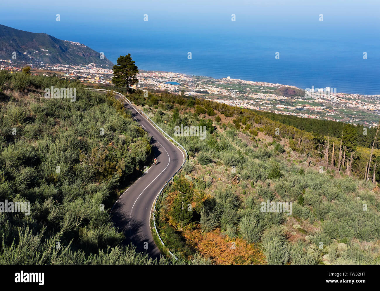 Carretera carretera de montaña del Teide, al Valle de La Orotava, Los Realejos detrás, Tenerife, Islas Canarias, España Foto de stock
