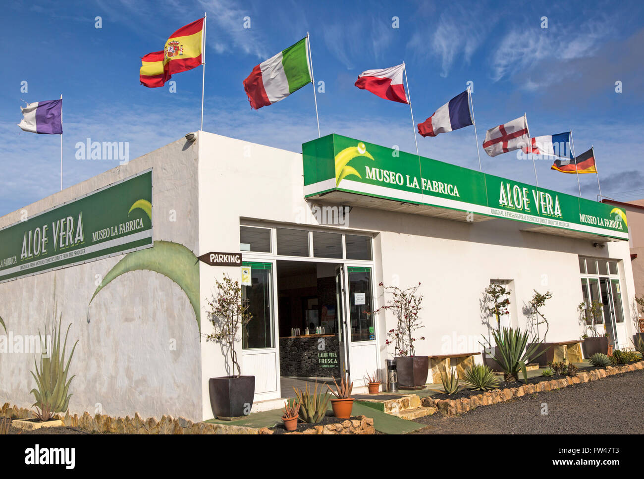 Aloe vera Tienda de fábrica, La Oliva, Fuerteventura, Islas Canarias,  España Fotografía de stock - Alamy