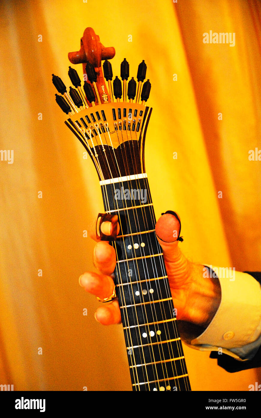 La guitarra portuguesa, 12 cuerdas, clavijas de afinación tipo de  ventilador, finger plectrums / plectra Fotografía de stock - Alamy
