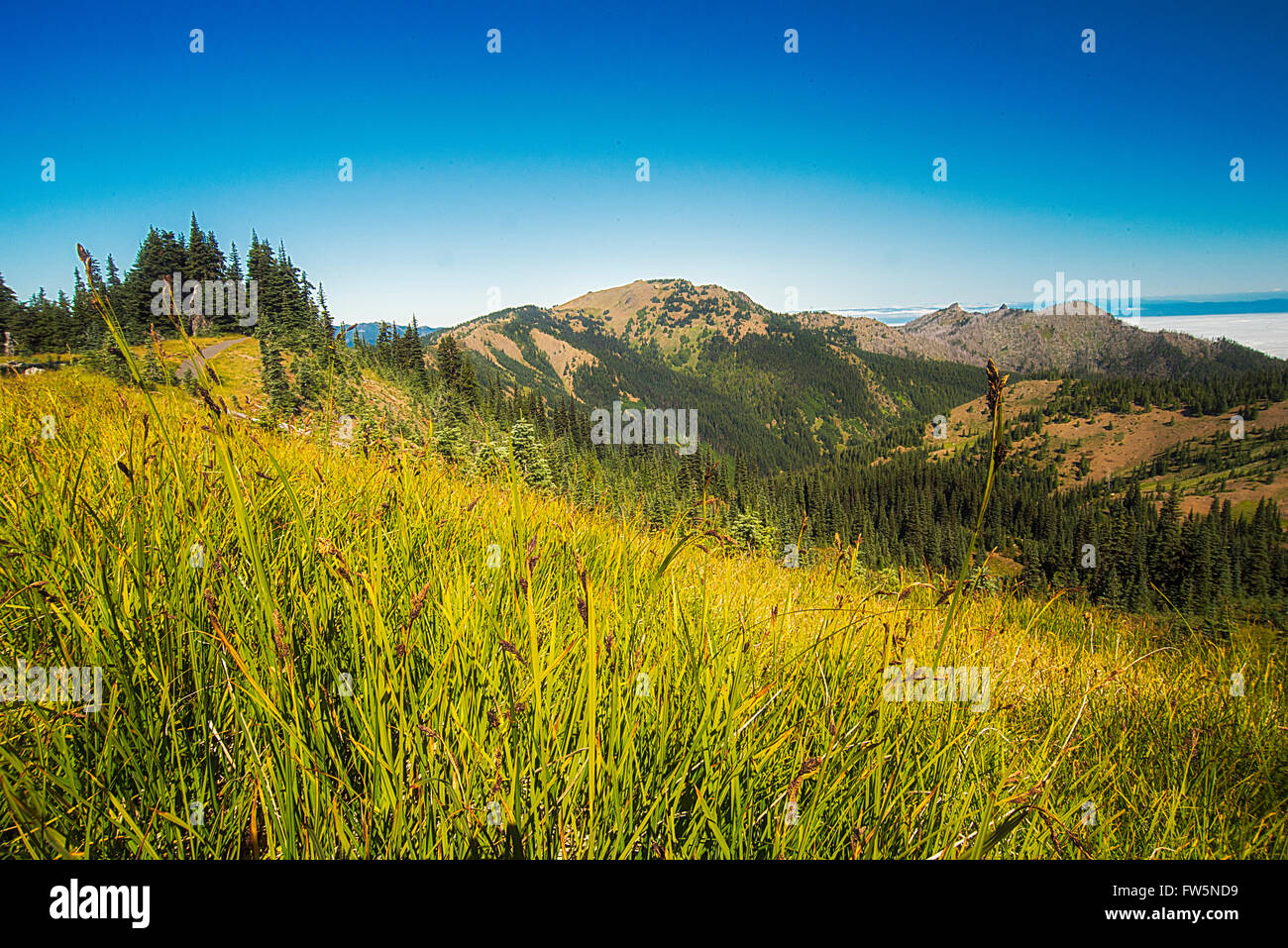 Mirando hacia abajo colina con campos de pasto verde a una montaña bajo un cielo azul. Foto de stock