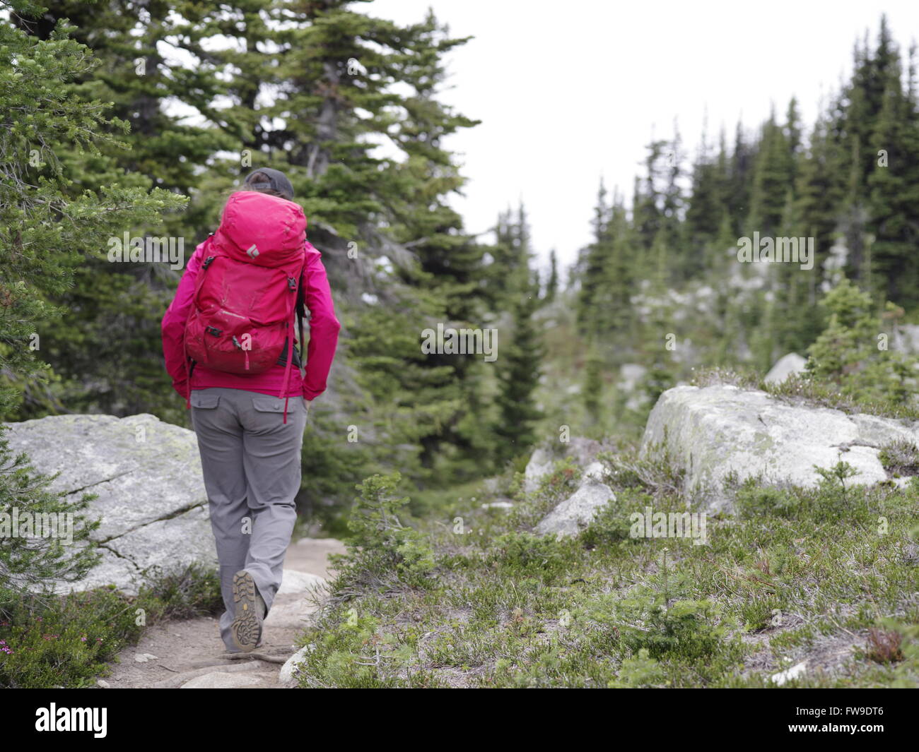 Joven mujer caucásica senderismo en Whistler Blackcomb trail en el verano Foto de stock