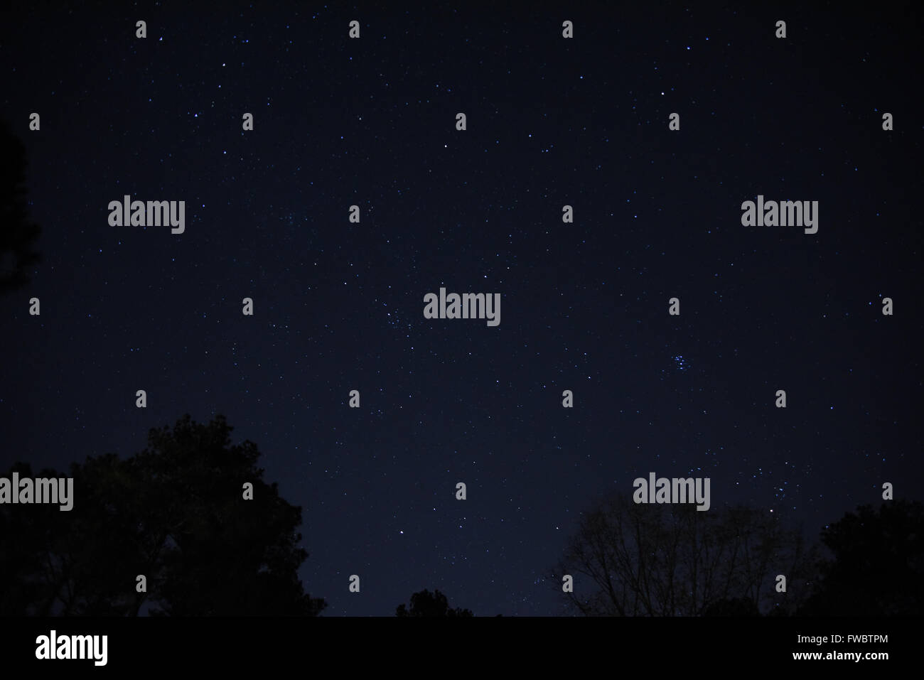 Noreste de finales de otoño temprano por la noche el cielo con estrellas y constelaciones claramente visible. Foto de stock