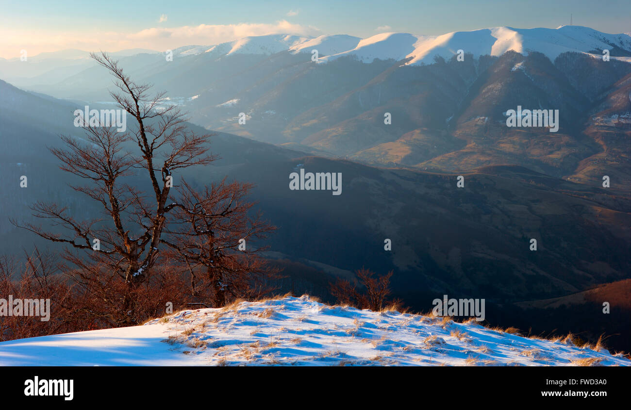 Cárpatos, paisaje de invierno, los Cárpatos, bosque Foto de stock
