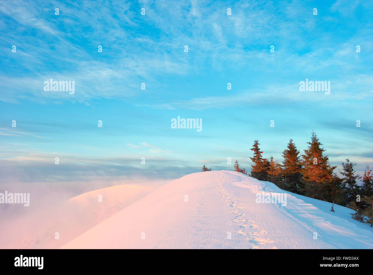 Cárpatos, paisaje de invierno, los Cárpatos, bosque Foto de stock