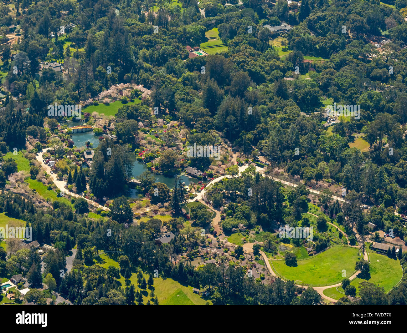 Grande árvore De Carvalho Verde Americano Na Frente Da Casa Do Clube Do  Estudante No Terreno Da Faculdade Imagem de Stock - Imagem de berkeley,  américa: 105746151