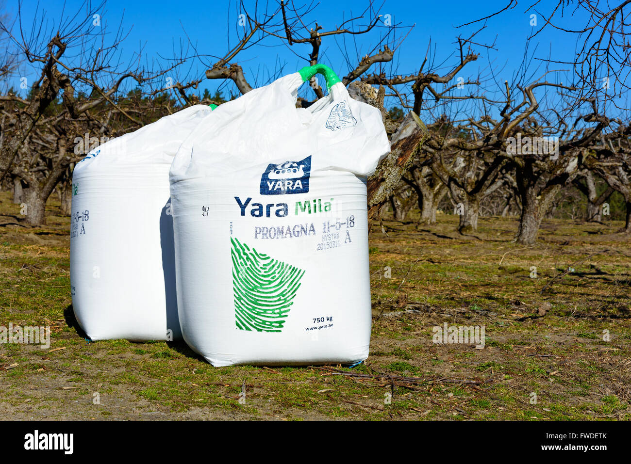 Kivik, Suecia - Abril 1, 2016: Sacs de Yara Mila fertilizantes NPK de pie en una plantación de manzanos. Editorial ilustrativos. Foto de stock