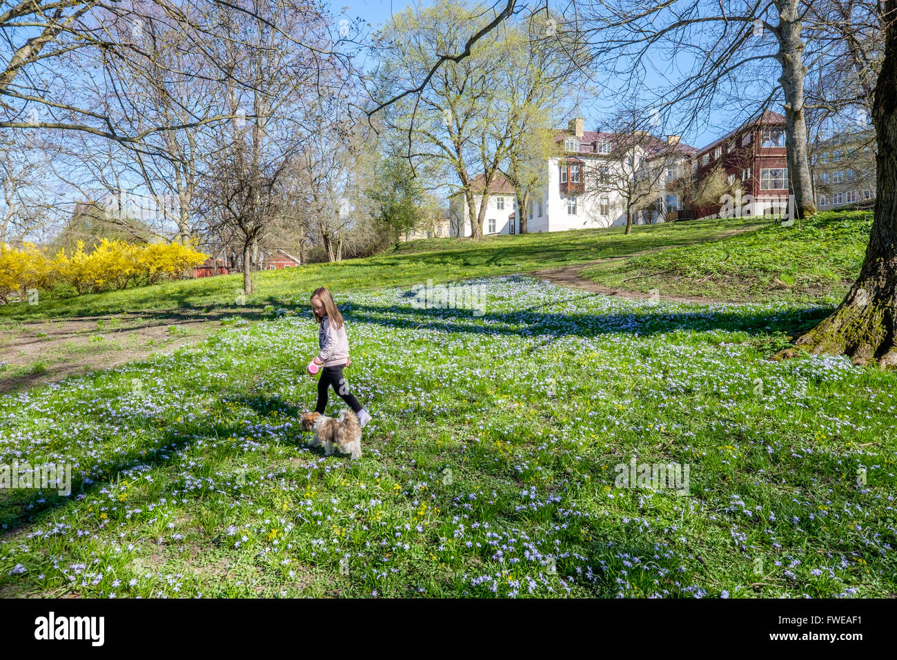 Niña paseando un perro en un soleado día de primavera en Suecia Foto de stock