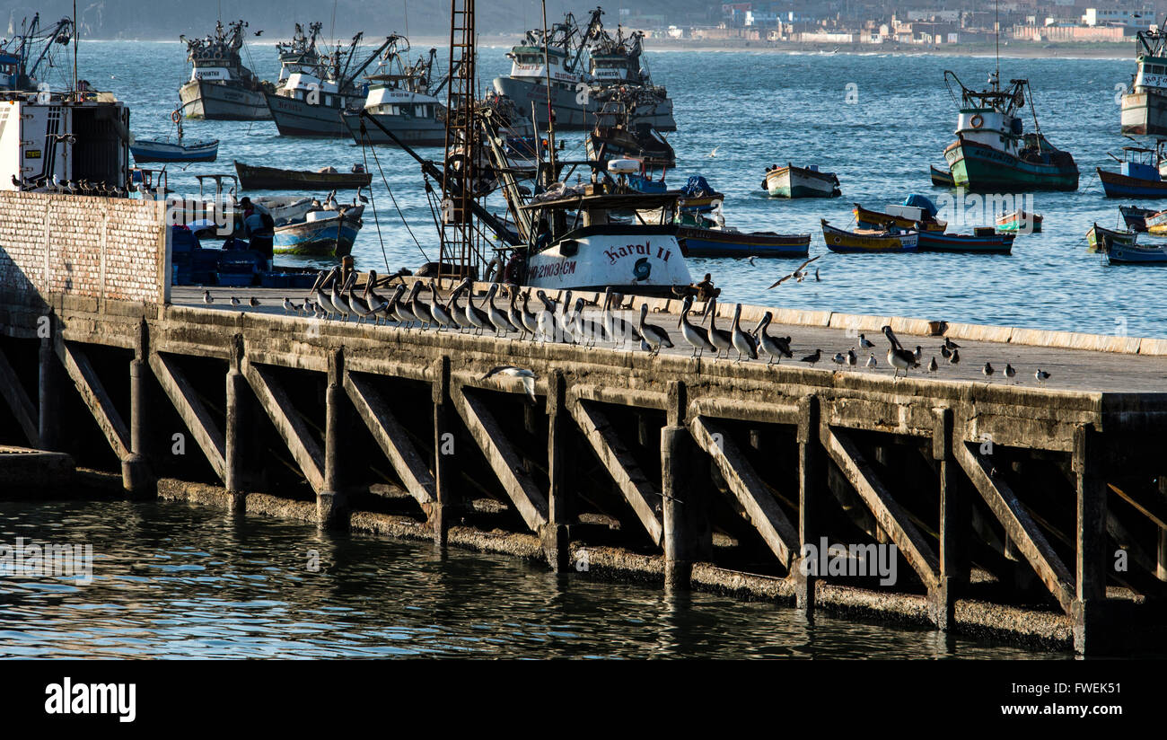 Puerto de Huacho en la región Lima, Perú. buques de pesca Fotografía de  stock - Alamy