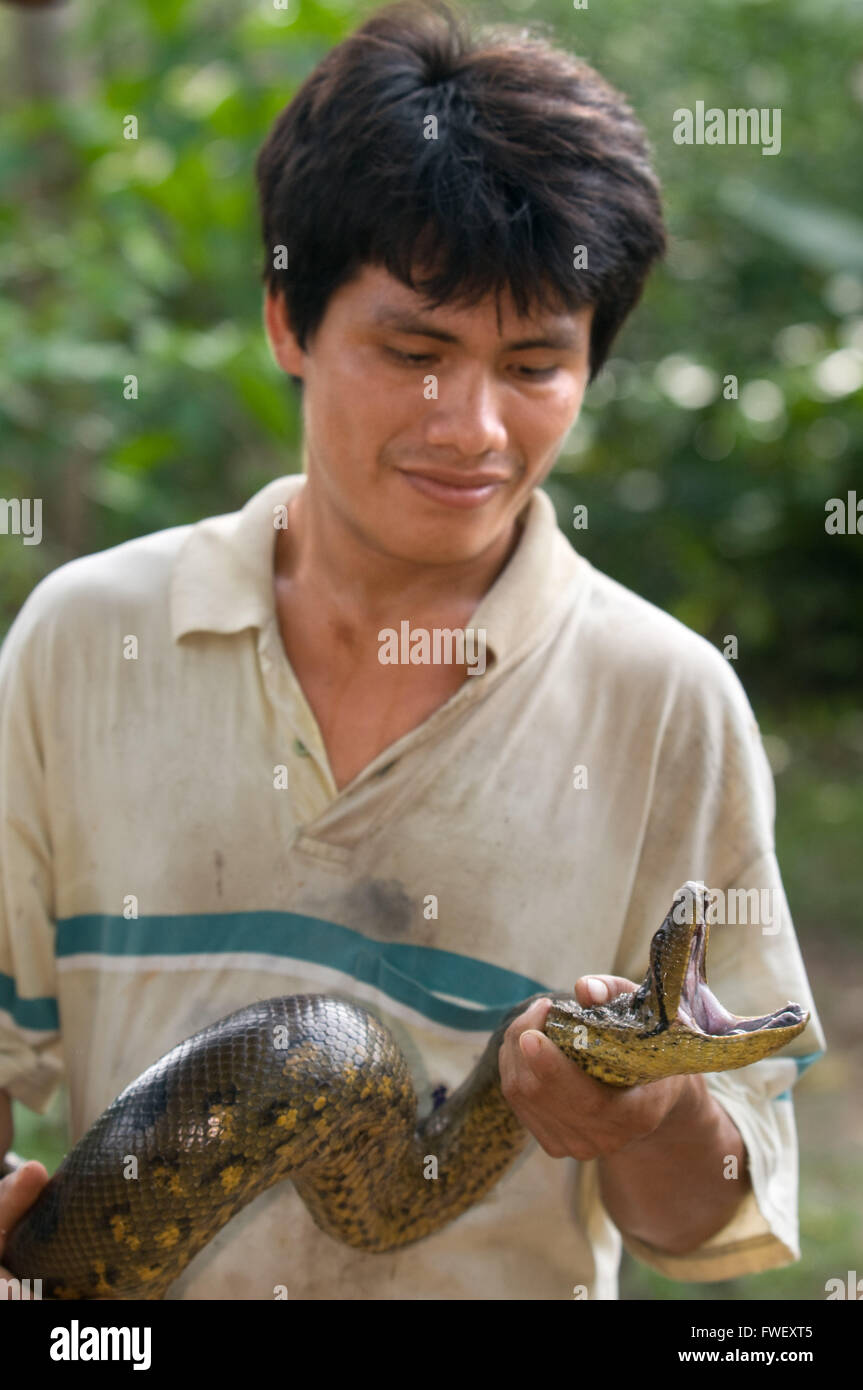 Un nativo tiene una serpiente en uno de los principales bosques de la selva amazónica, cerca de la ciudad de Iquitos, Loreto, Perú. Foto de stock