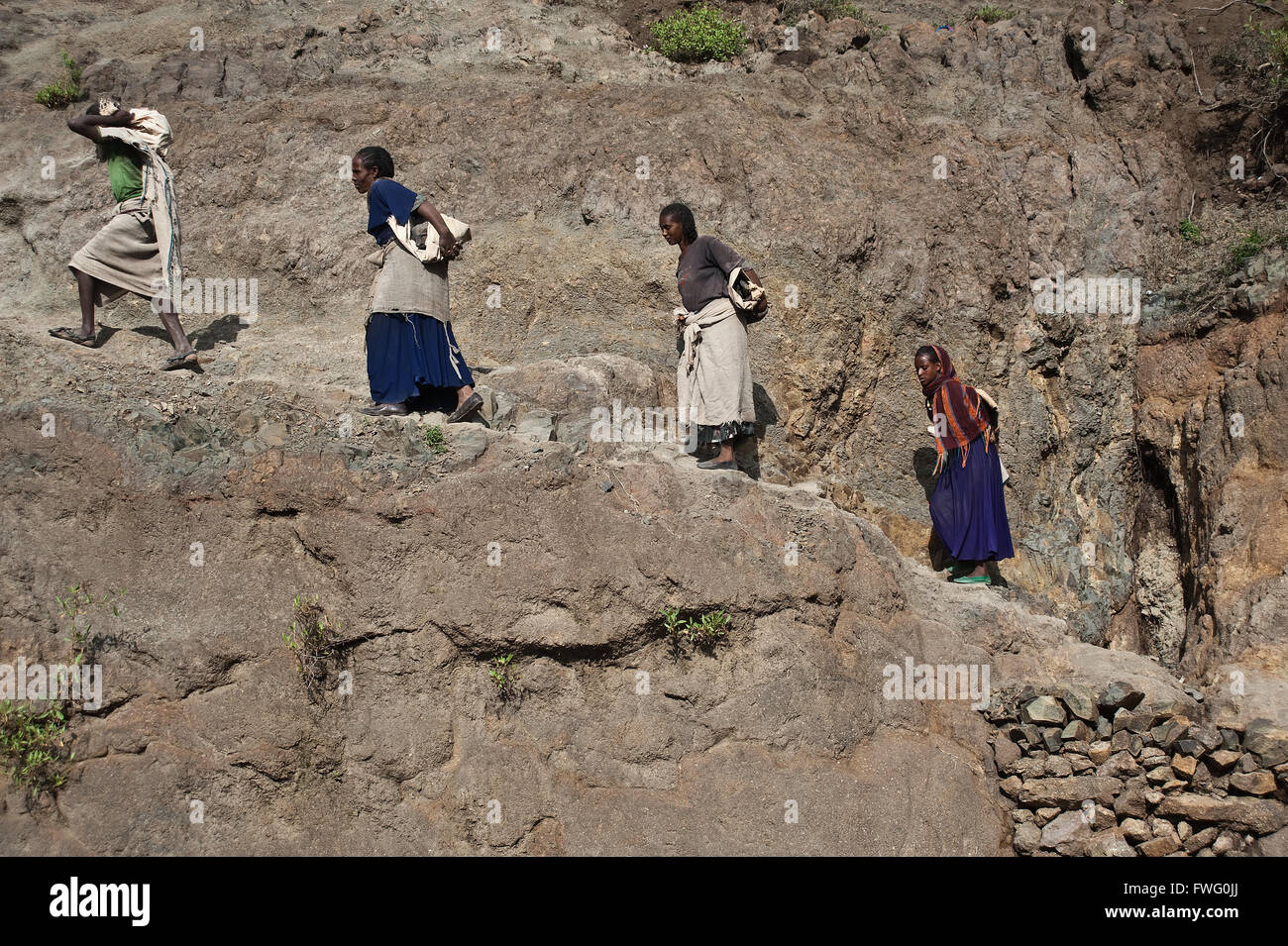 Las obras de riego : trabajadores están llevando piedras para construir un canal de irrigación (Etiopía) Foto de stock