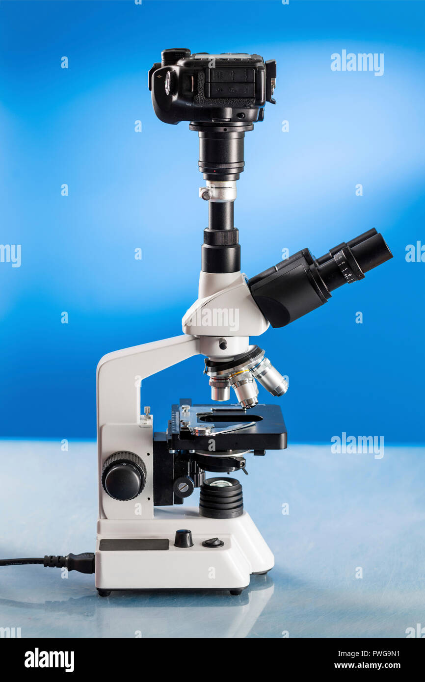 Microscopio de laboratorio con una cámara DSLR Fotografía de stock - Alamy