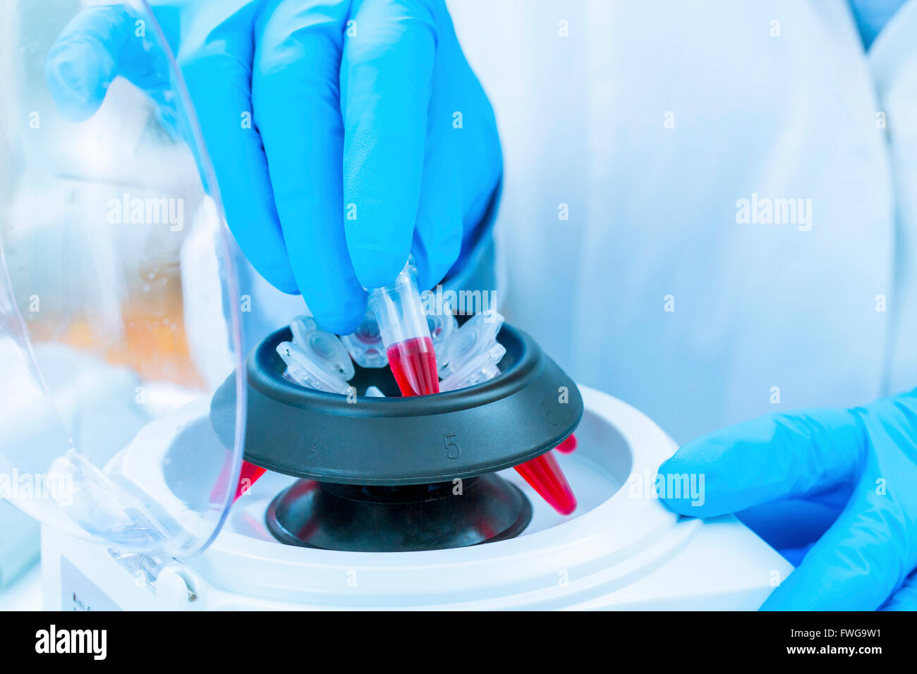 Centrifugar durante el ADN (ácido desoxirribonucleico) la extracción Fotografía de stock Alamy