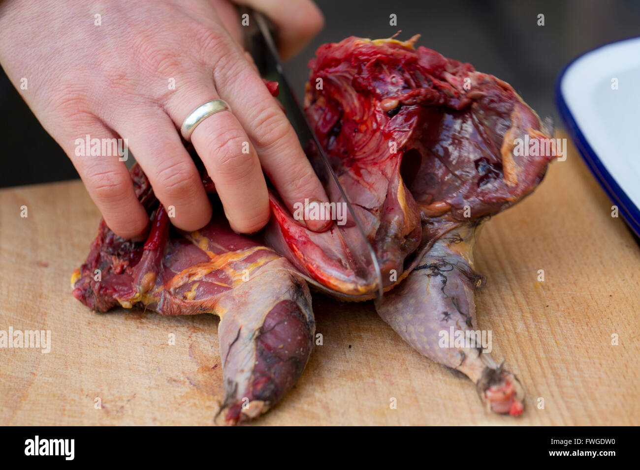 Un chef prepara un juego para cocinar aves, spatchcocking del pájaro. Foto de stock