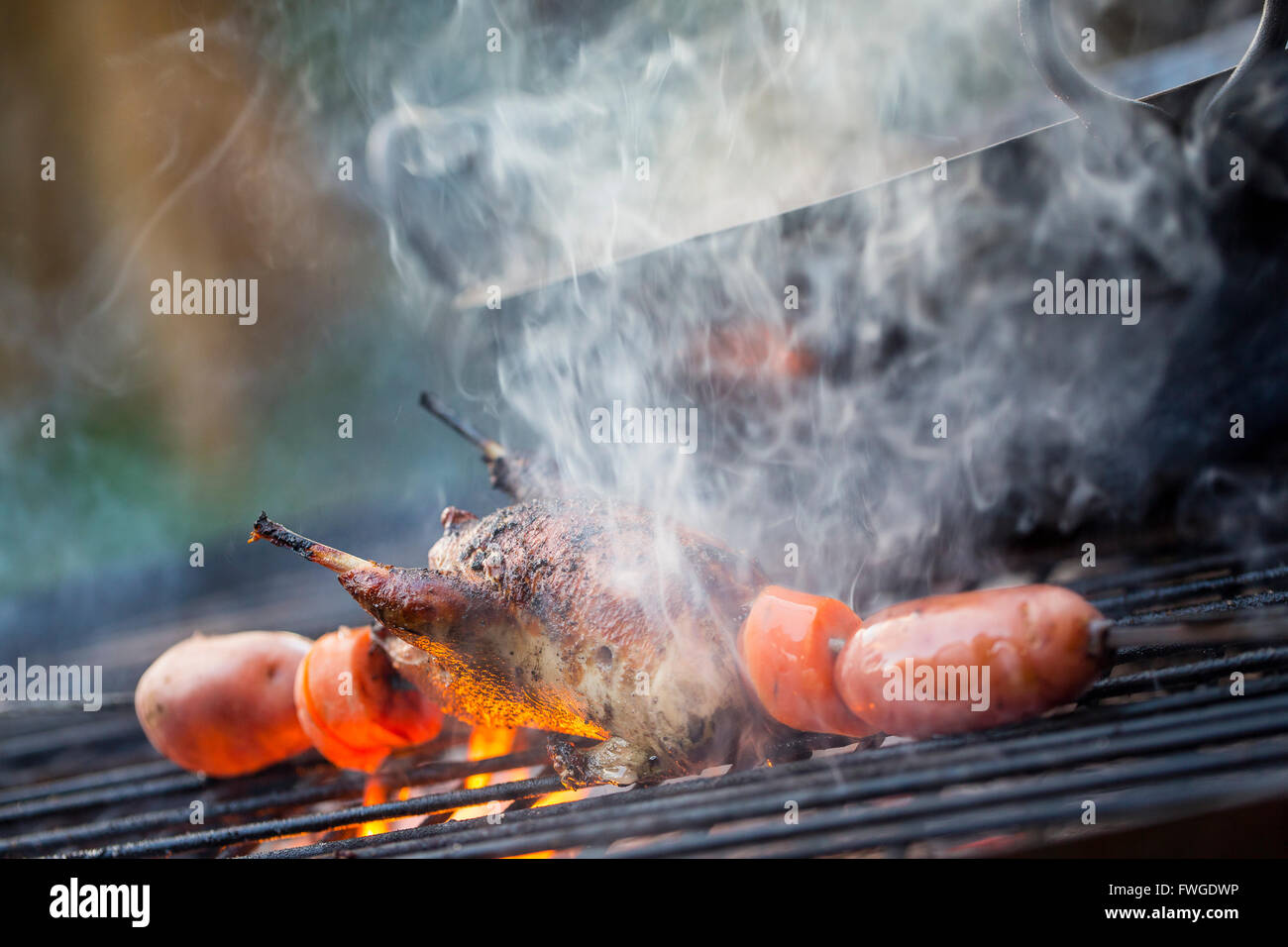 Una piscina cookout. Las hortalizas y una pequeña ave de caza la cocción en las llamas. Foto de stock