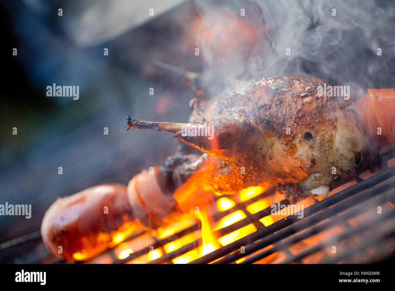 Una piscina cookout. Una pequeña ave de caza está carbonizado por las llamas. Foto de stock