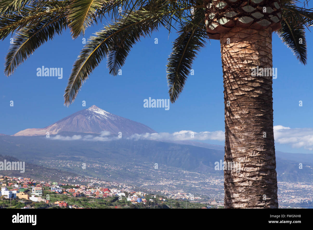 Vistas al valle de La Orotava con el Pico del Teide, Tenerife, Islas Canarias, España, Europa Foto de stock
