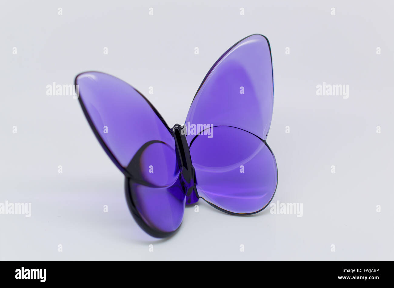 Violeta mariposa baccarat Fotografía de stock - Alamy