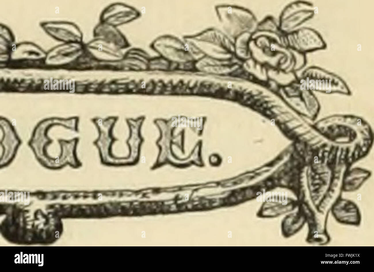 B.K. Bliss e hijo ilustrado del catálogo de primavera y guía del aficionado a la flor y huerta (1877) Foto de stock