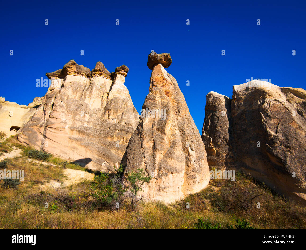 'Mushroom' formaciones rocosas cerca de Çavuşin, Cappadocia, Turquía Foto de stock