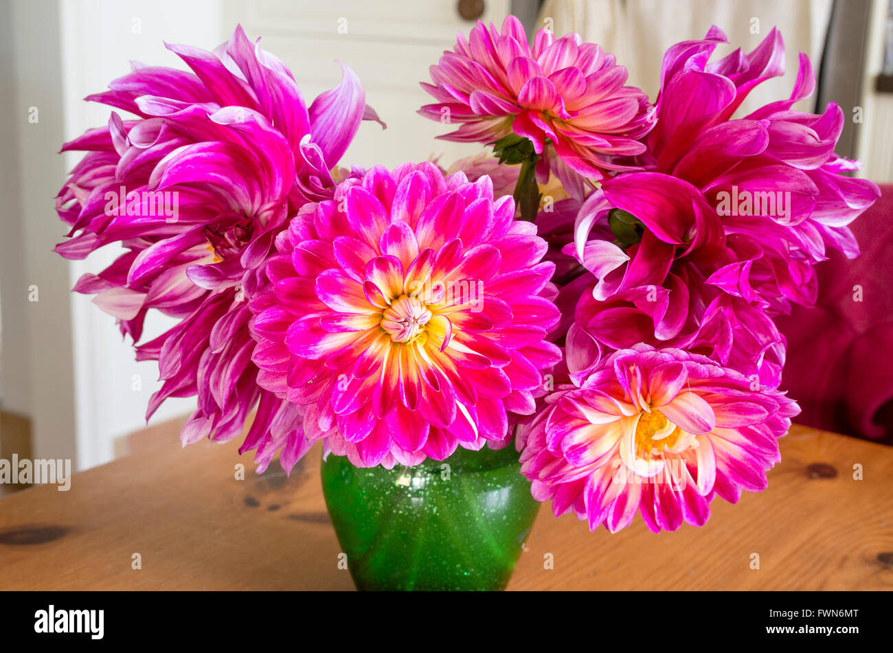 Dalias decorativas en un florero verde adentro Foto de stock