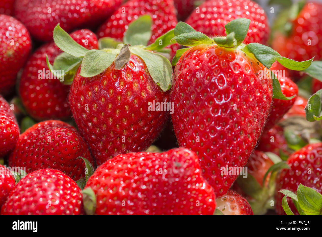 Fraises Sur Etal De Marche Fotos E Imagenes De Stock Alamy