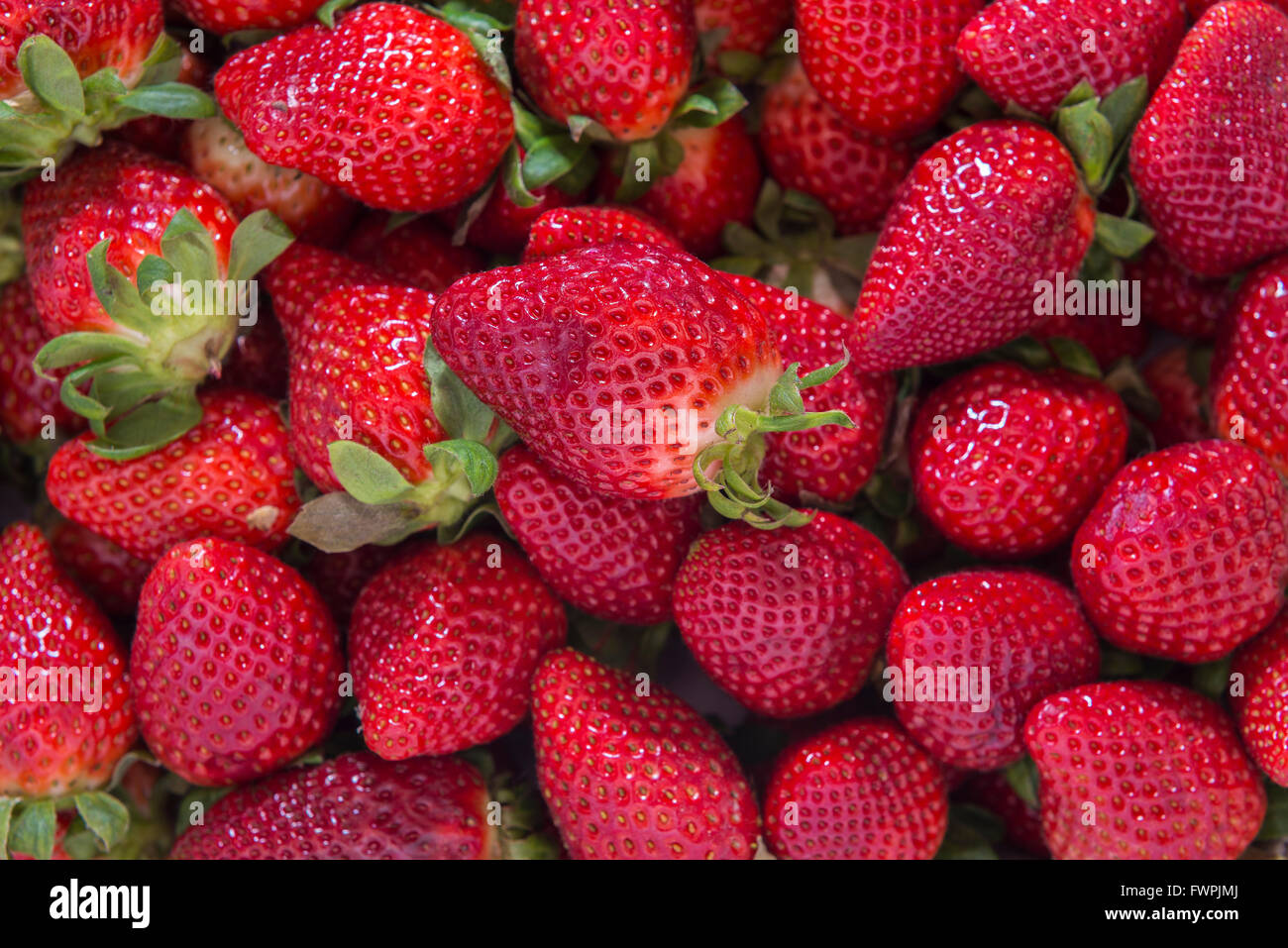 Fraises Sur Etal De Marche Fotos E Imagenes De Stock Alamy Fraises Sur Etal De Marche Fotos E Imagenes De Stock Alamy