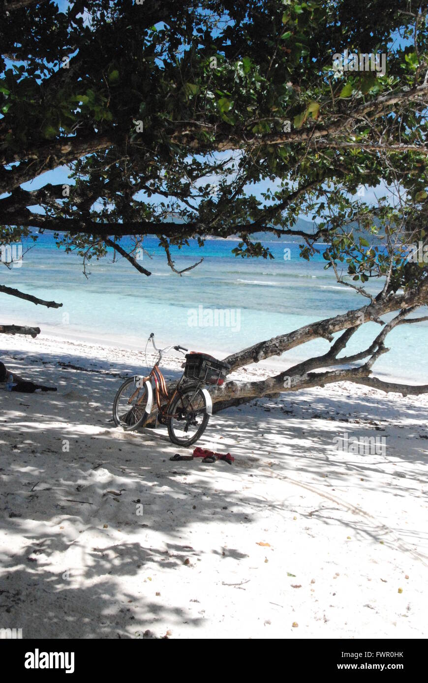 Bicicleta aparcada por un árbol en la playa Foto de stock