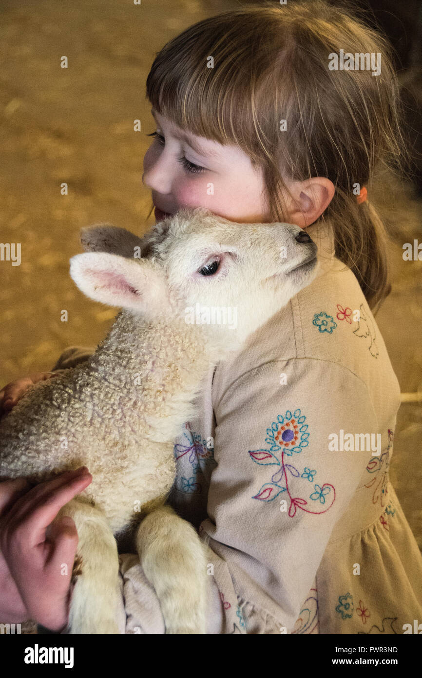 Niña Niño pequeño cordero animal perfil resorte adentro momentos felices marrón nueva vida criadero cordero alamy hombro Foto de stock