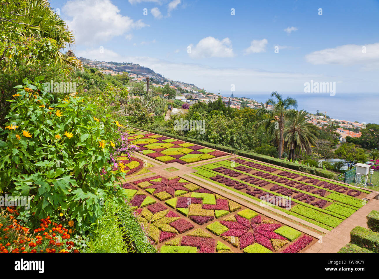 Jardín botánico tropical en la ciudad de Funchal, Madeira, Portugal Foto de stock