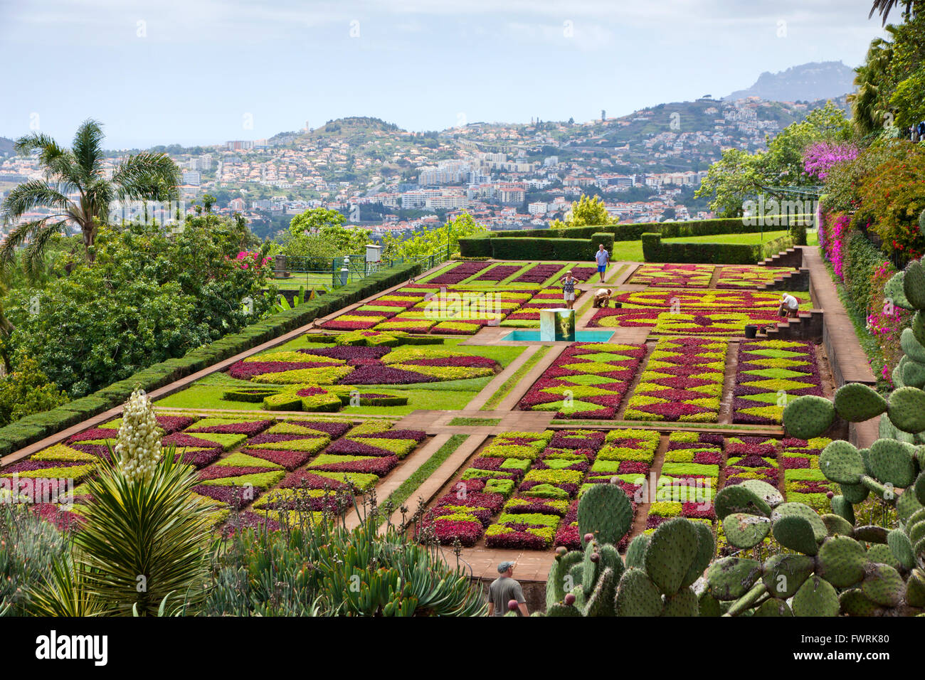 Jardín botánico tropical en la ciudad de Funchal, Madeira, Portugal Foto de stock